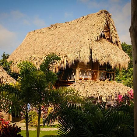 Encanto Hostel Guachaca Luaran gambar