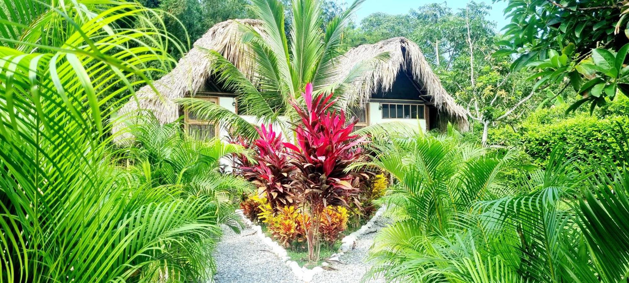 Encanto Hostel Guachaca Luaran gambar